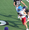 Ball